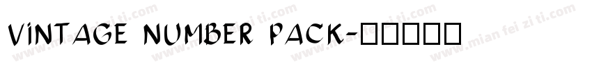 vintage number pack字体转换